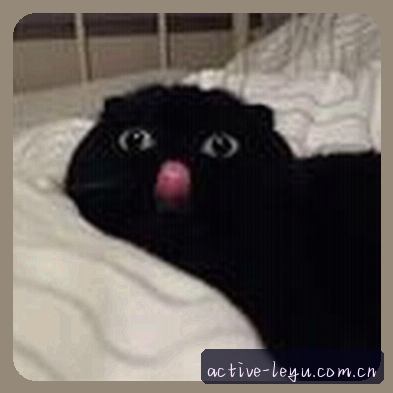 周涛